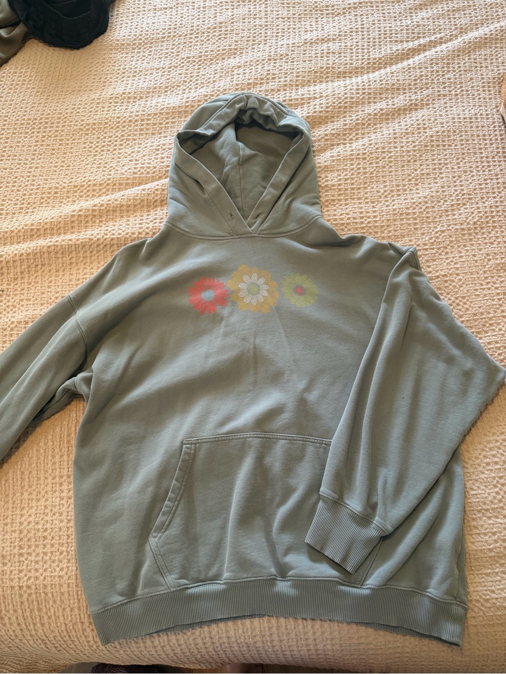 American Eagle Outfitters Sage Green Hoodie with Floral Chest Print